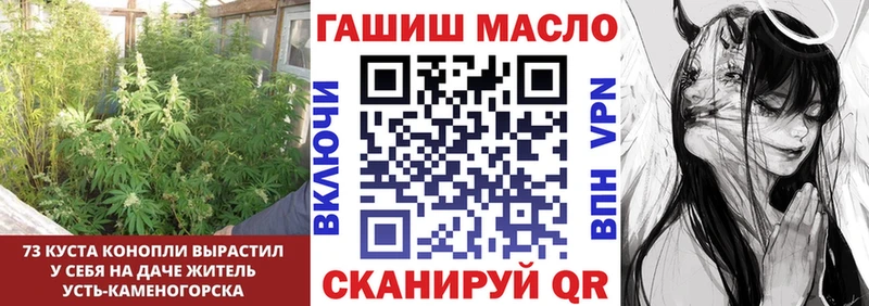 Купить Асино ТГК концентрат